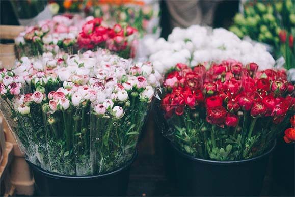 the-flower-room-gallery4